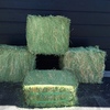 Quality Compressed Lucerne Hay on Pallets