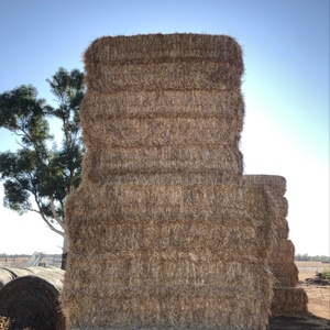 header trail barley straw