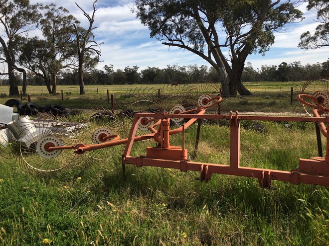 Agris international 10 wheel v hay rake