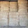 Oaten Hay 600kg 8x4x3 Bales
