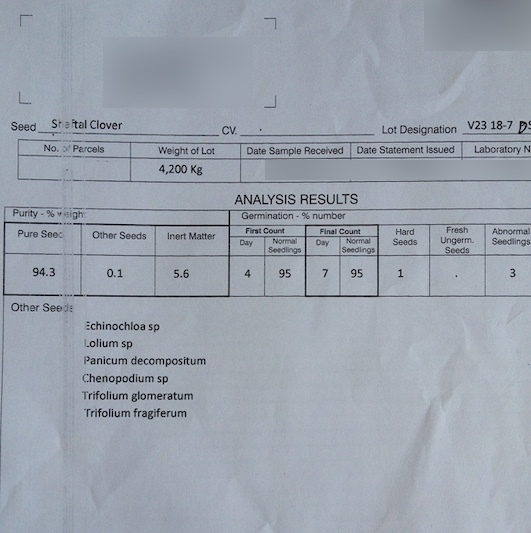 3mt Shaftal Clover Seed