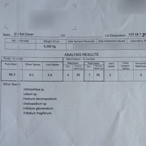 3mt Shaftal Clover Seed