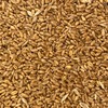 Wheat seed for sale - Naparoo awnless