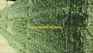 Lucerne Hay 8x4x3 Bales (19/20)