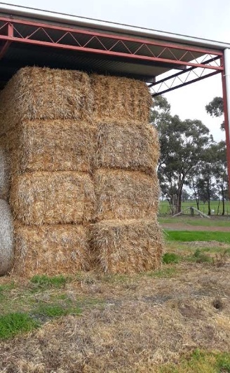 *PRICE REDUCTION* 24 Bales 8x4x3 of Oaten Straw Shedded 440 Kg's