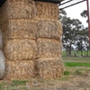 *PRICE REDUCTION* 24 Bales 8x4x3 of Oaten Straw Shedded 440 Kg's