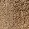 Brewers Grain 