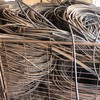 17 mm Dripper hose and Drippers attached