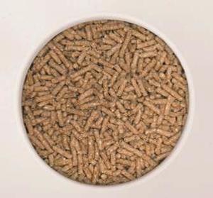Cattle Pellets - Proteena Pasture Boost, 15% CP, 13 ME