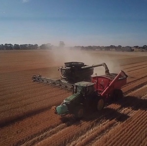 Harvest Work Wanted