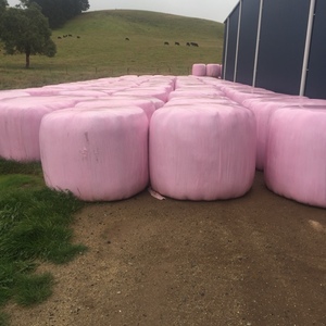 5 x 4 Silage - Pasture Rye & Clover