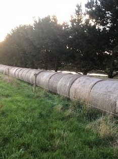 Hay Rounds 5' x 4'