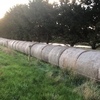 Hay Rounds 5' x 4'