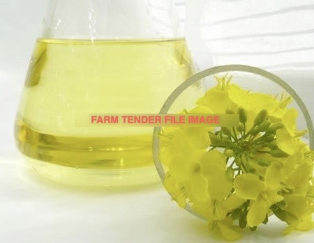 Canola Oil 100% in Bulk 
