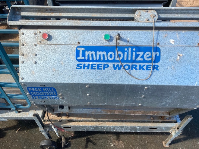 Peak Hill Immobilizer Sheep Worker