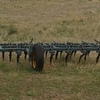 28ft John Shearer Fieldspan Culivator 