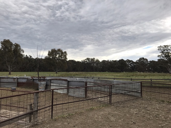 Lease or Agistment for sheep