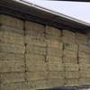 250mt Wheaten Hay 8x4x3 Bales