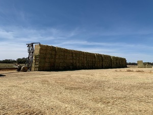 High quality Organic USDA NOP hay