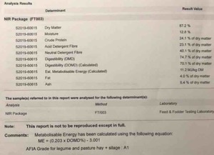 500mt A1 Vetch Hay 550-600kg 8x4x3 Bales Seller to Freight
