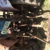 Under Auction - International 434 Tractor - 2% + GST Buyers Premium On All Lots 