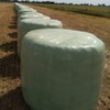 Wheaten Silage Rolls