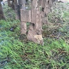 Agroplow