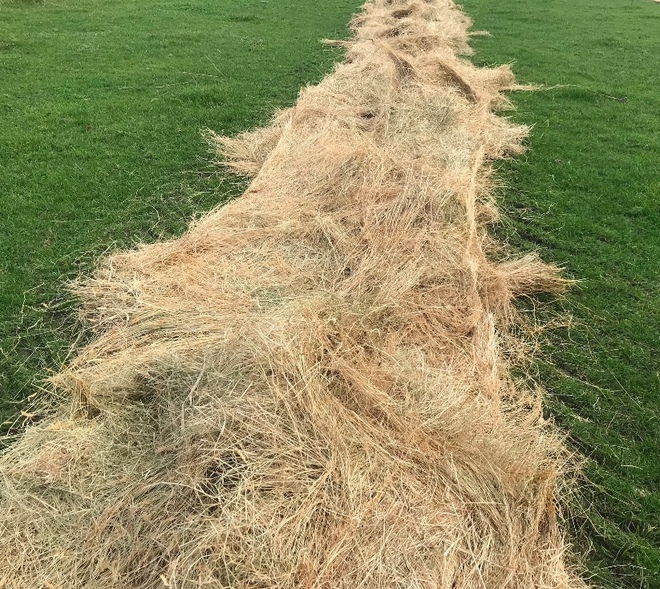 Pasture Hay 5x4 Rolls 