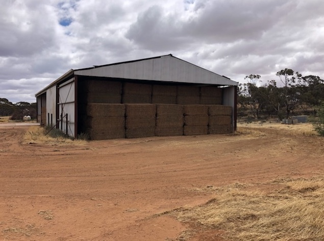 130 bales left of Vetch Hay 650kg 8x4x3 Bales + Freight