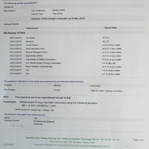 200mt Barley Hay 8x4x3 620kg Bales