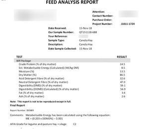 190mt Canola Hay 500kg 8x4x3 Bales