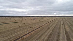 450mt Vetch Oaten Hay 8x4x3 Bales