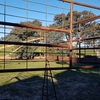 Sheep Stock Crate
