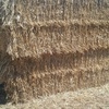 Windrowed Wheaten Straw 8x4x3