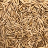 Hay Oats