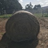 25 Round Bales Grass/Clover Hay