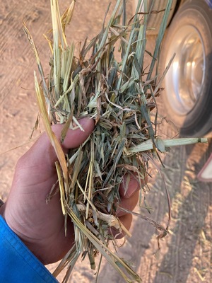 1 x B Double Loads Oaten Hay 8x4x3