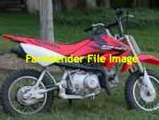 Wanted Pee Wee 50 Kids Bike