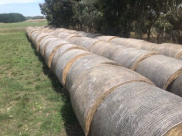 50 Bales Pasture Hay