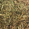clover/oat hay