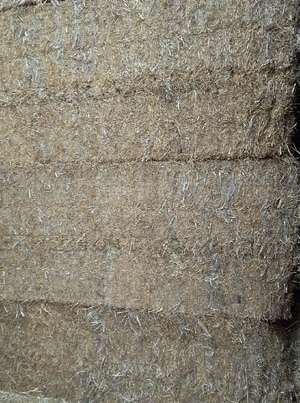 Vetch Hay 8x4x3 Shedded