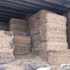 40mt Oaten Hay 630kg 8x4x3 Bales