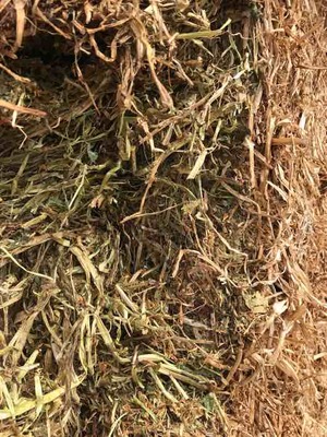 Balansa Clover Hay 8x4x3 Bales