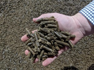 Cattle & Sheep Maintenance Pellets