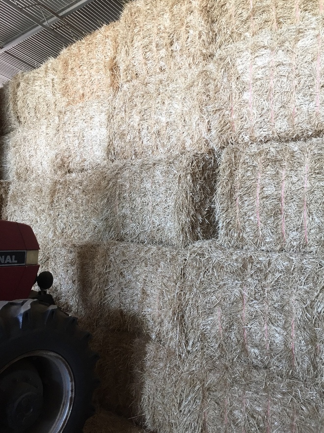 Barley Straw 540kg 8x4x3 Bales