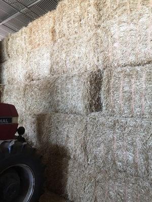Barley Straw 540kg 8x4x3 Bales