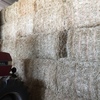 Barley Straw 540kg 8x4x3 Bales