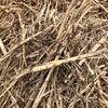 Canola Straw Bales 8x4x3