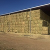 wheaten hay for sale 