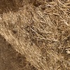 Wheaten Straw 